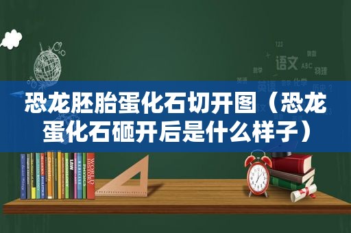 恐龙胚胎蛋化石切开图（恐龙蛋化石砸开后是什么样子）