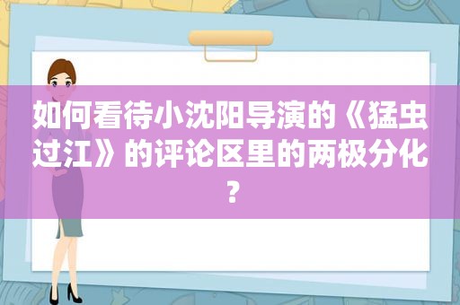 如何看待小沈阳导演的《猛虫过江》的评论区里的两极分化？