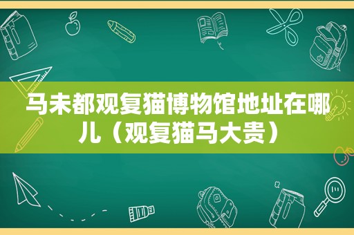 马未都观复猫博物馆地址在哪儿（观复猫马大贵）