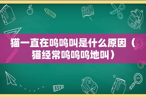 猫一直在呜呜叫是什么原因（猫经常呜呜呜地叫）