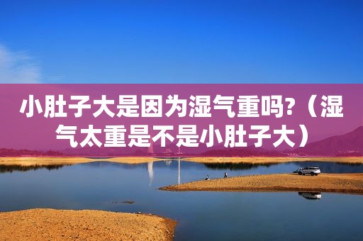 小肚子大是因为湿气重吗?（湿气太重是不是小肚子大）