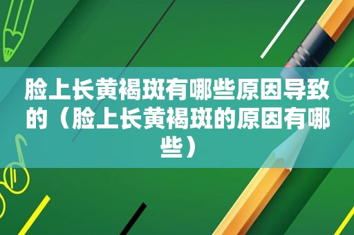 脸上长黄褐斑有哪些原因导致的（脸上长黄褐斑的原因有哪些）