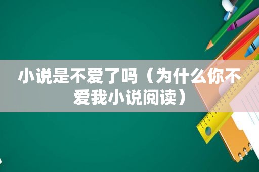 小说是不爱了吗（为什么你不爱我小说阅读）