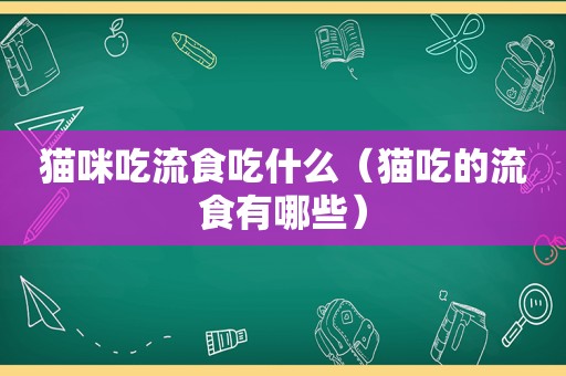 猫咪吃流食吃什么（猫吃的流食有哪些）