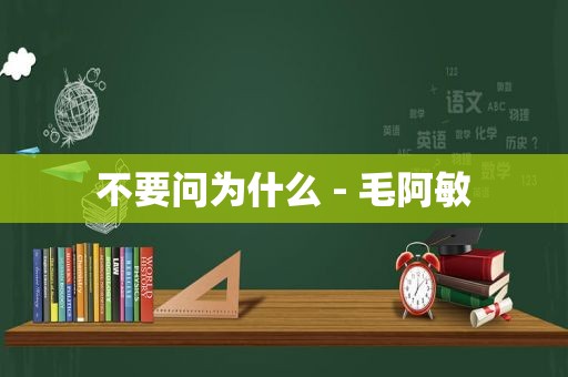 不要问为什么 - 毛阿敏