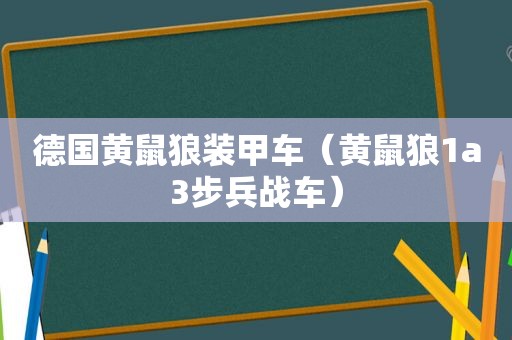 德国黄鼠狼装甲车（黄鼠狼1a3步兵战车）