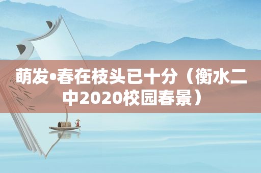 萌发•春在枝头已十分（衡水二中2020校园春景）