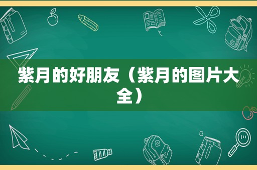 紫月的好朋友（紫月的图片大全）