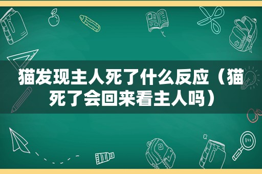 猫发现主人死了什么反应（猫死了会回来看主人吗）