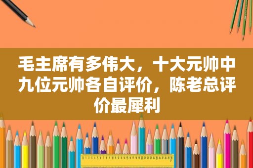 毛主席有多伟大，十大元帅中九位元帅各自评价，陈老总评价最犀利