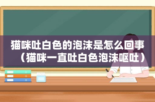 猫咪吐白色的泡沫是怎么回事（猫咪一直吐白色泡沫呕吐）