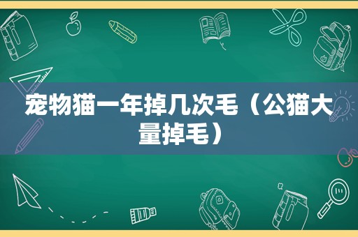 宠物猫一年掉几次毛（公猫大量掉毛）