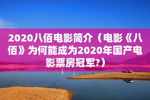 2020八佰电影简介（电影《八佰》为何能成为2020年国产电影票房冠军?）