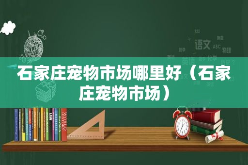 石家庄宠物市场哪里好（石家庄宠物市场）