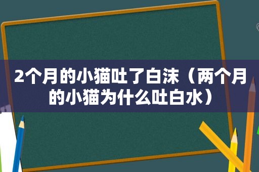 2个月的小猫吐了白沫（两个月的小猫为什么吐白水）