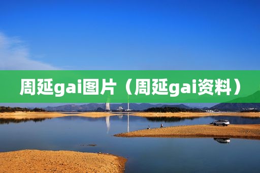 周延gai图片（周延gai资料）