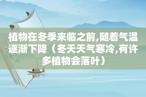 植物在冬季来临之前,随着气温逐渐下降（冬天天气寒冷,有许多植物会落叶）