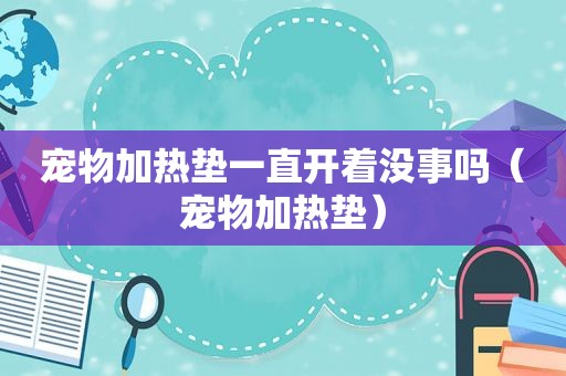 宠物加热垫一直开着没事吗（宠物加热垫）