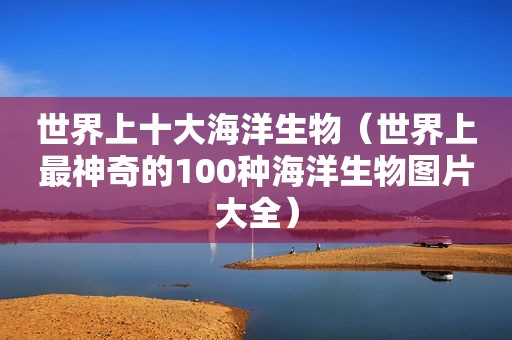 世界上十大海洋生物（世界上最神奇的100种海洋生物图片大全）