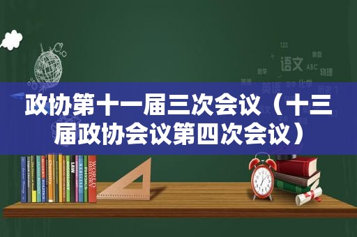 政协第十一届三次会议（十三届政协会议第四次会议）