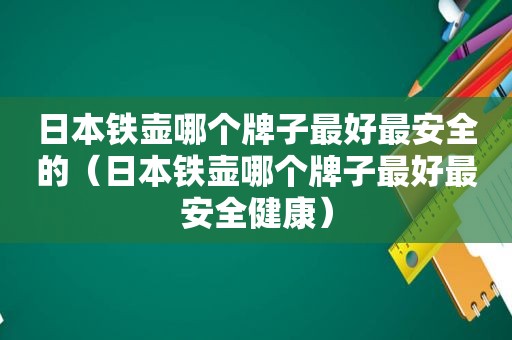 日本铁壶哪个牌子最好最安全的（日本铁壶哪个牌子最好最安全健康）