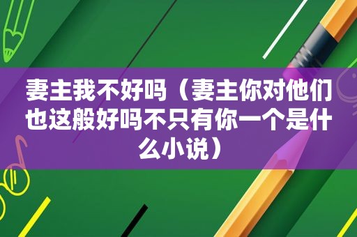 妻主我不好吗（妻主你对他们也这般好吗不只有你一个是什么小说）