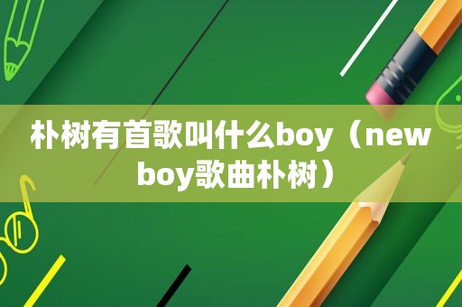 朴树有首歌叫什么boy（new boy歌曲朴树）