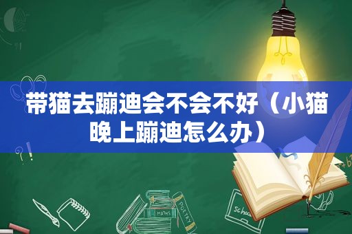 带猫去蹦迪会不会不好（小猫晚上蹦迪怎么办）