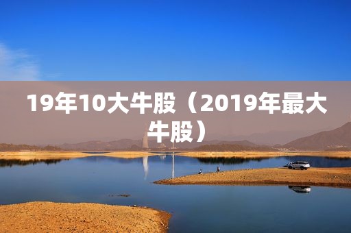 19年10大牛股（2019年最大牛股）