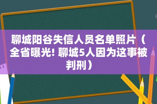 聊城阳谷失信人员名单照片（全省曝光! 聊城5人因为这事被判刑）