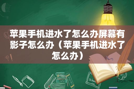 苹果手机进水了怎么办屏幕有影子怎么办（苹果手机进水了怎么办）