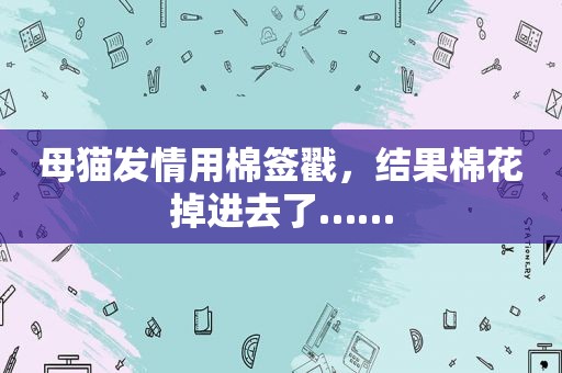 母猫 *** 用棉签戳，结果棉花掉进去了……