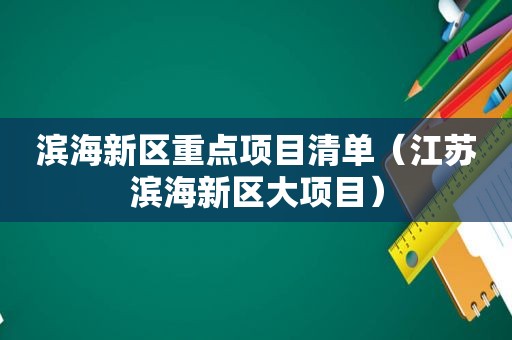 滨海新区重点项目清单（江苏滨海新区大项目）