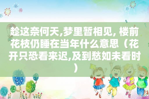 趁这奈何天,梦里暂相见, 楼前花枝仍睡在当年什么意思（花开只恐看来迟,及到愁如未看时）