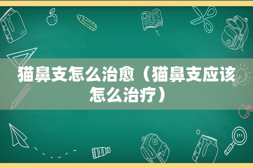 猫鼻支怎么治愈（猫鼻支应该怎么治疗）