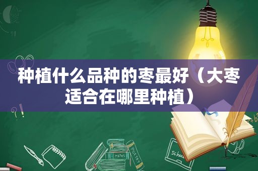 种植什么品种的枣最好（大枣适合在哪里种植）