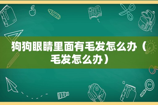 狗狗眼睛里面有毛发怎么办（毛发怎么办）