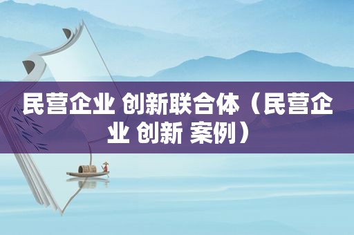 民营企业 创新联合体（民营企业 创新 案例）