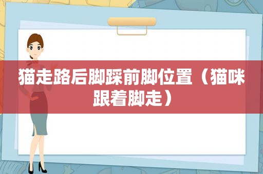 猫走路后脚踩前脚位置（猫咪跟着脚走）