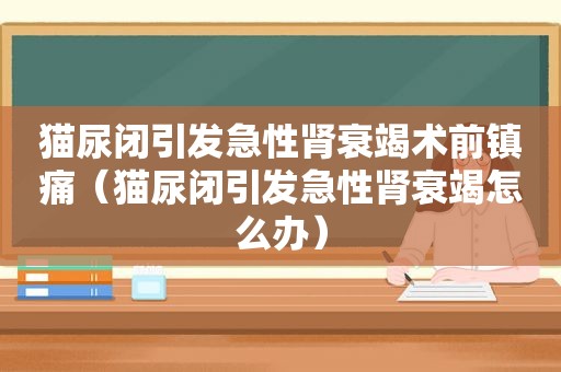 猫尿闭引发急性肾衰竭术前镇痛（猫尿闭引发急性肾衰竭怎么办）