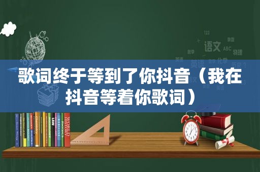 歌词终于等到了你抖音（我在抖音等着你歌词）