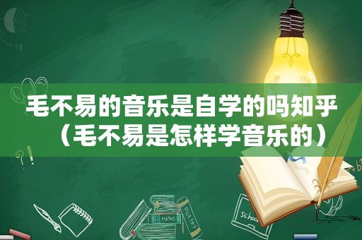 毛不易的音乐是自学的吗知乎（毛不易是怎样学音乐的）