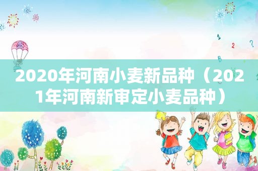 2020年河南小麦新品种（2021年河南新审定小麦品种）