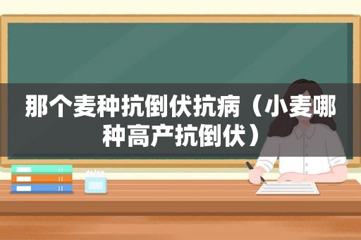 那个麦种抗倒伏抗病（小麦哪种高产抗倒伏）