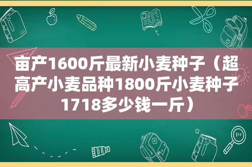 亩产1600斤最新小麦种子（超高产小麦品种1800斤小麦种子1718多少钱一斤）