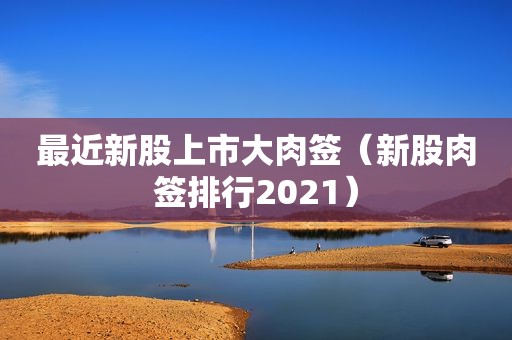 最近新股上市大肉签（新股肉签排行2021）