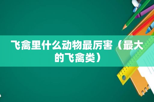 飞禽里什么动物最厉害（最大的飞禽类）