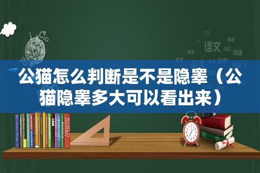 公猫怎么判断是不是隐睾（公猫隐睾多大可以看出来）