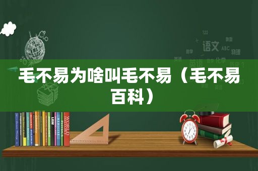 毛不易为啥叫毛不易（毛不易 百科）