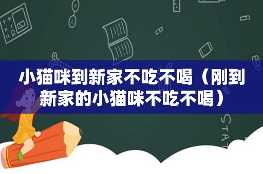 小猫咪到新家不吃不喝（刚到新家的小猫咪不吃不喝）